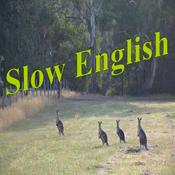 Podcast Slow English