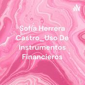 Podcast Sofía Herrera Castro_Uso De Instrumentos Financieros