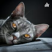 Podcast Somos Magia🧙‍♀️