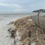 Podcast Stories, Stories Everywhere