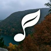 Podcast Suavidade Música Relaxante
