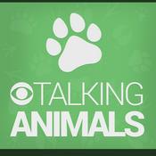 Podcast Talking Animals