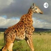 Podcast Technical Reading and Writing Radio Broadcast