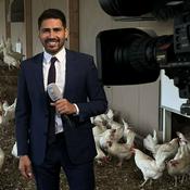 Podcast TeleZüri Fernandez - on & off air