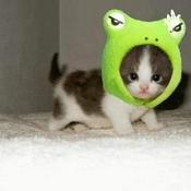 Podcast Texto Expositivo