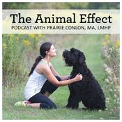 Podcast The Animal Effect