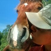 Podcast The Farah DeJohnette Whole Horsemanship Podcast