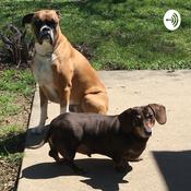 Podcast The Good Life for your Pet!
