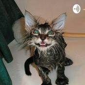 Podcast The Importance of 30 Hot