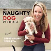 Podcast The Naughty Dog Podcast