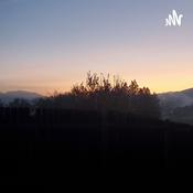 Podcast The recovery show 🙏