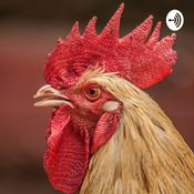 Podcast The Roost Podcast