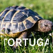 Podcast TORTUGA