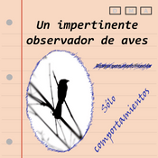 Podcast Un impertinente observador de aves