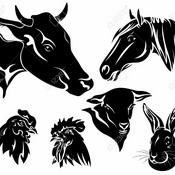 Podcast Seamos la voz de los que no pueden hablar