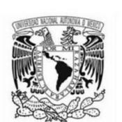 Podcast Universidades