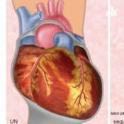 Podcast Urgencias Traumatologicas