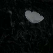 Podcast Vegurin aftur til veruleikan