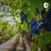 Podcast Viajeras Del Vino 🍷