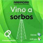 Podcast Vino a sorbos música a grito herido - Areandina Radio