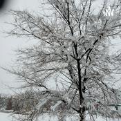 Podcast Vjbless ♈💚🖤💛👁