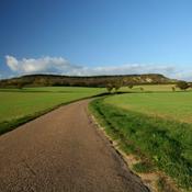 Podcast What's Up Joe