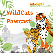 Podcast WildCats Pawcast