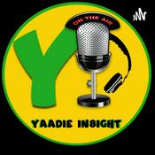 Podcast Yaadie Insights