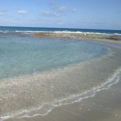 Podcast ילדה בוגרת