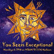 Podcast You Seem Exceptional