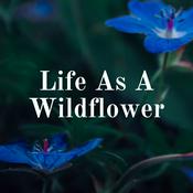 Podcast Life As A Wildflower