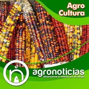 Escucha AgroCultura en la aplicación