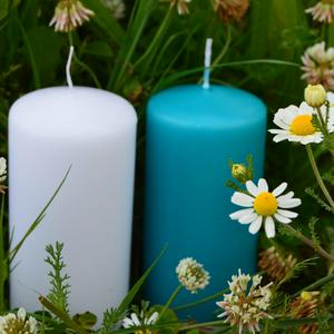 Au ras des pâquerettes