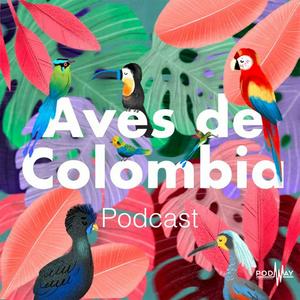 Escucha Aves de Colombia en la aplicación