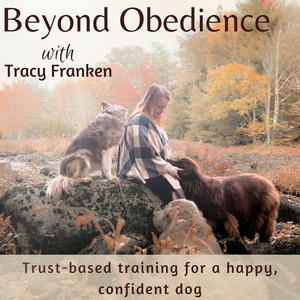 Escucha Beyond Obedience | Dog Training, Dog Behaviour Training, Scared Dogs, Reactive Dogs en la aplicación