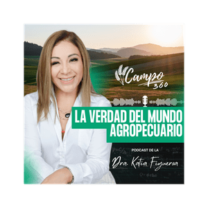 Campo360