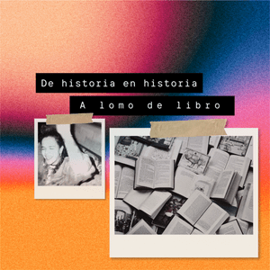 De historia en historia a lomo de libro