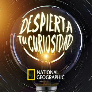 Escucha DESPIERTA TU CURIOSIDAD en la aplicación