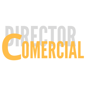 DirectorComercial.es