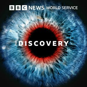 Escucha Discovery en la aplicación