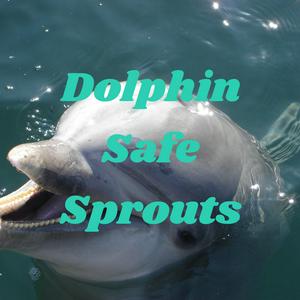 Dolphin Safe Sprouts