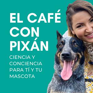 Escucha El café con pixan en la aplicación