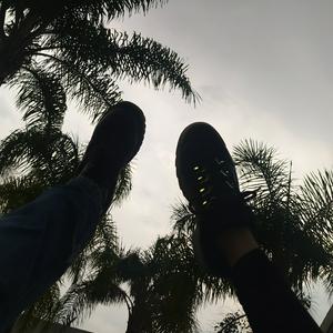 El Podcast de Carlitos Lira