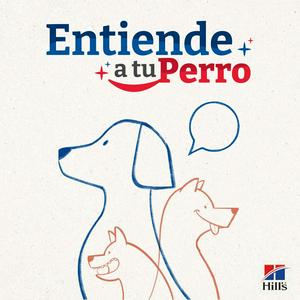 Escucha Entiende A Tu Perro en la aplicación