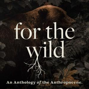 Escucha For The Wild en la aplicación