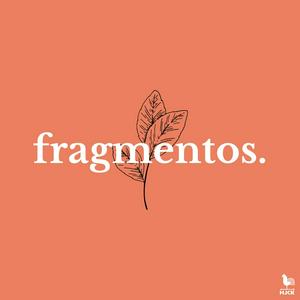 fragmentos.