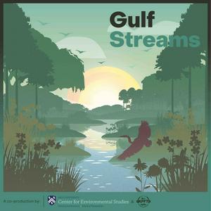 Escucha Gulf Streams en la aplicación