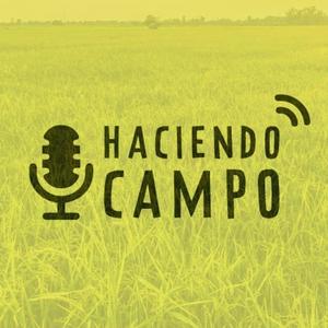 Haciendo Campo