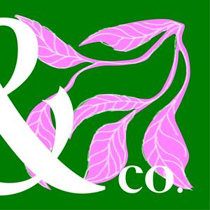 La Enredadera &amp; co.