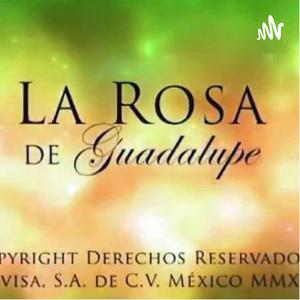 Escucha La rosa de Guadalupe en la aplicación